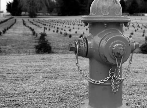 免费ddos在线攻击